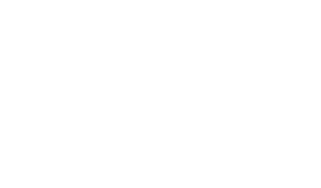 BMSA Beni Suef logo